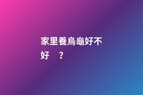 家里養烏龜好不好？